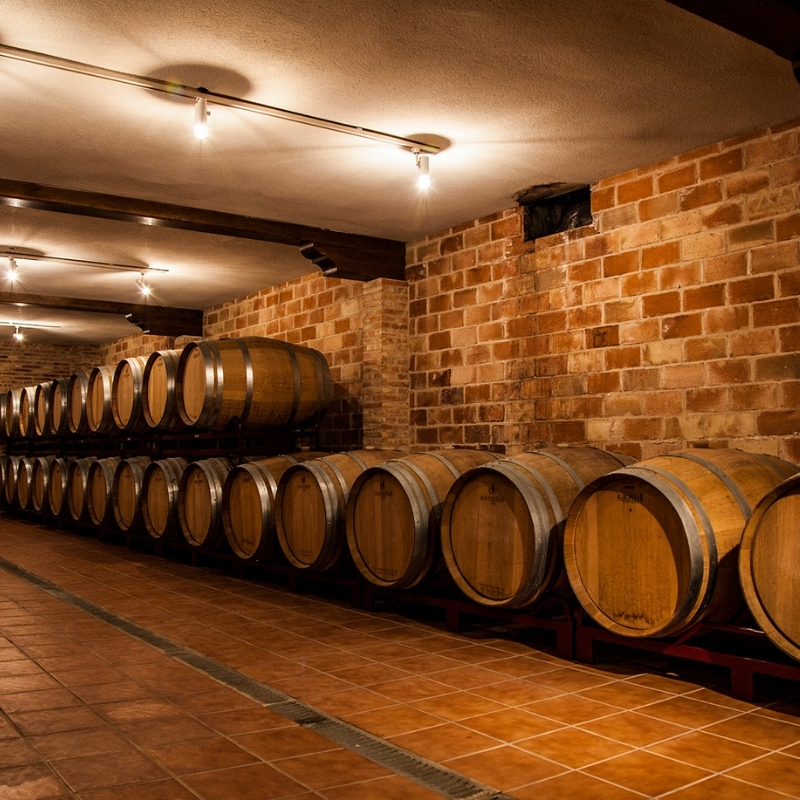 bodega los abuelos