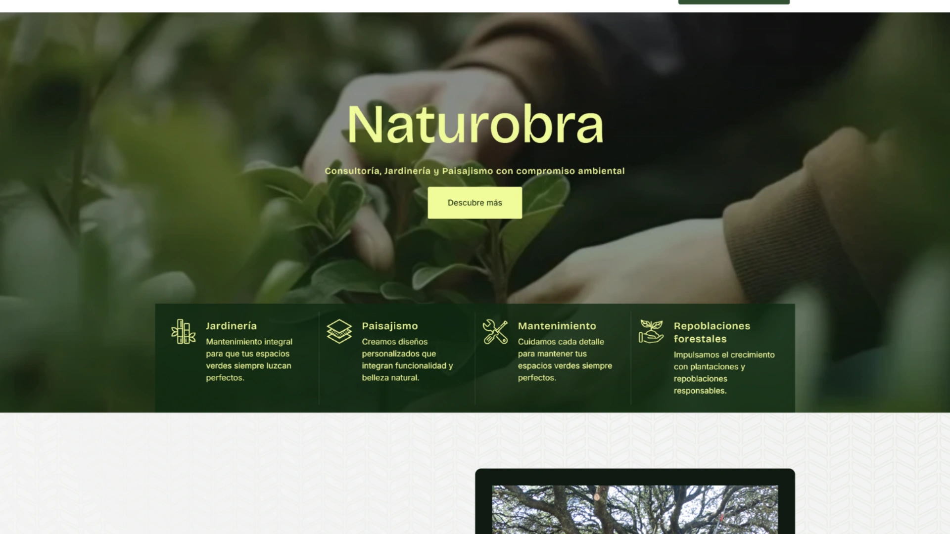naturobra 4
